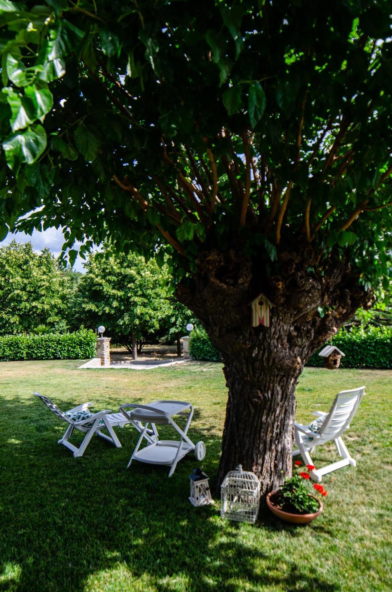 Cascina Il Gelso Bed & Breakfast Mornese Bagian luar foto