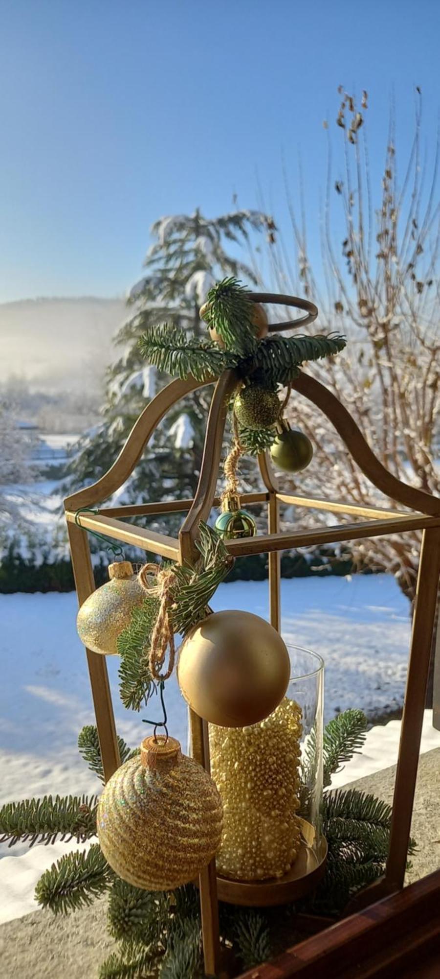 Cascina Il Gelso Bed & Breakfast Mornese Bagian luar foto