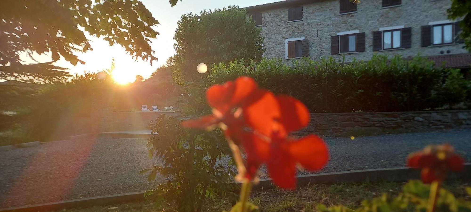 Cascina Il Gelso Bed & Breakfast Mornese Bagian luar foto